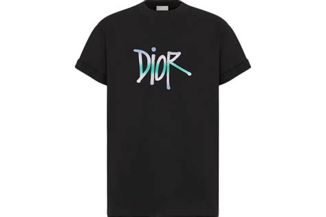 dior and shawn t-shirt|Dior And Shawn Oversized Logo T.